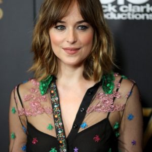 dakota johnson see through 6 photos 82