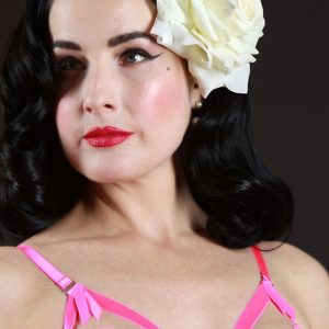 dita von teese sexy 140 photos 36