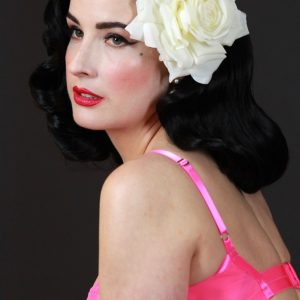 dita von teese sexy 140 photos 59