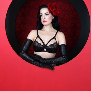 dita von teese sexy 140 photos 78 1