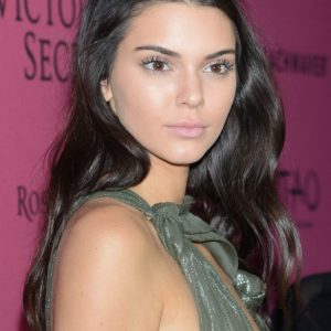 kendall jenner see through 22 photos 0